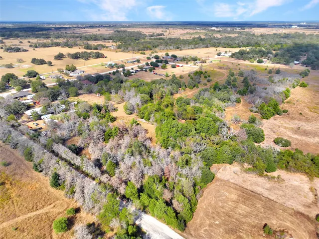 a view of a bunch of trees in yard