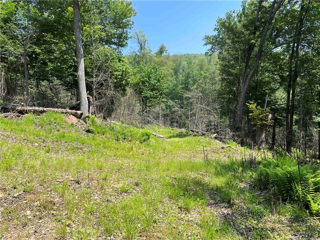 0 Gleason Hollow Road Belfast, NY 14711 - Photo 8 of 27 Gallery Image 8