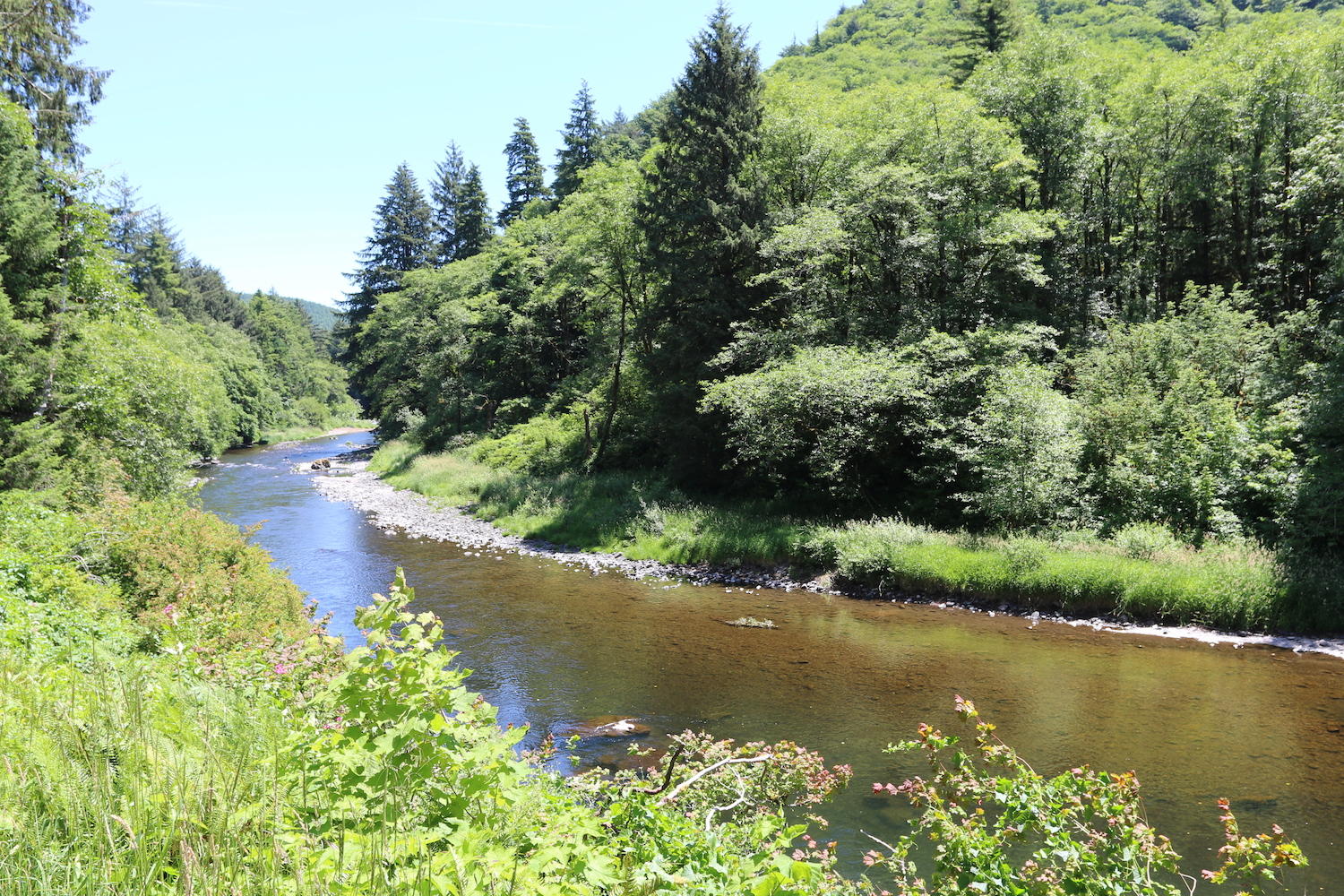 Vl Vl Trask River Road Tillamook, OR 97141 - Photo 1 of 10 IMG_0953