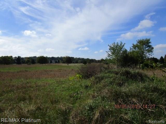 2-3 Dexter Pinckney Pinckney, MI 48169 - Photo 5 of 6