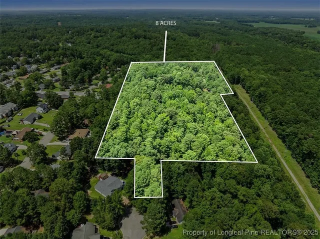 an aerial view of a garden