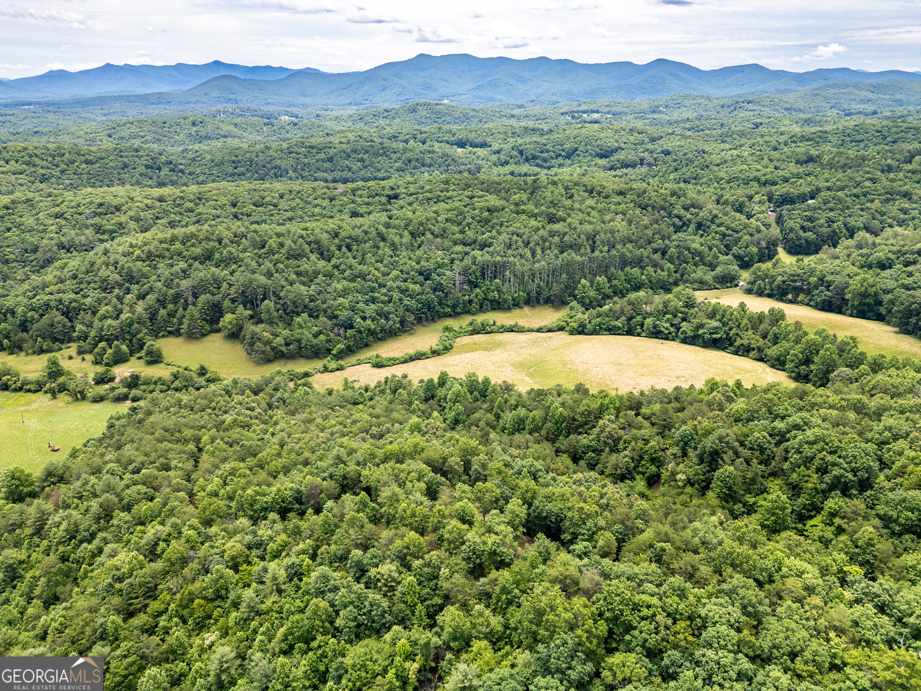1 Stormy Ridge Brasstown, NC 28902 - Photo 19 of 20
