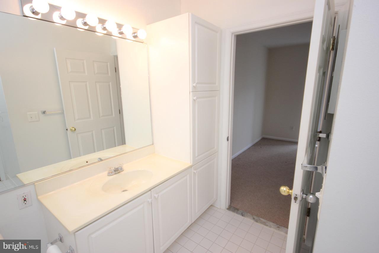 7000 Falls Reach Drive, Unit 110 Falls Church, VA 22043 - Photo 6 of 26 a bathroom with a sink and a mirror