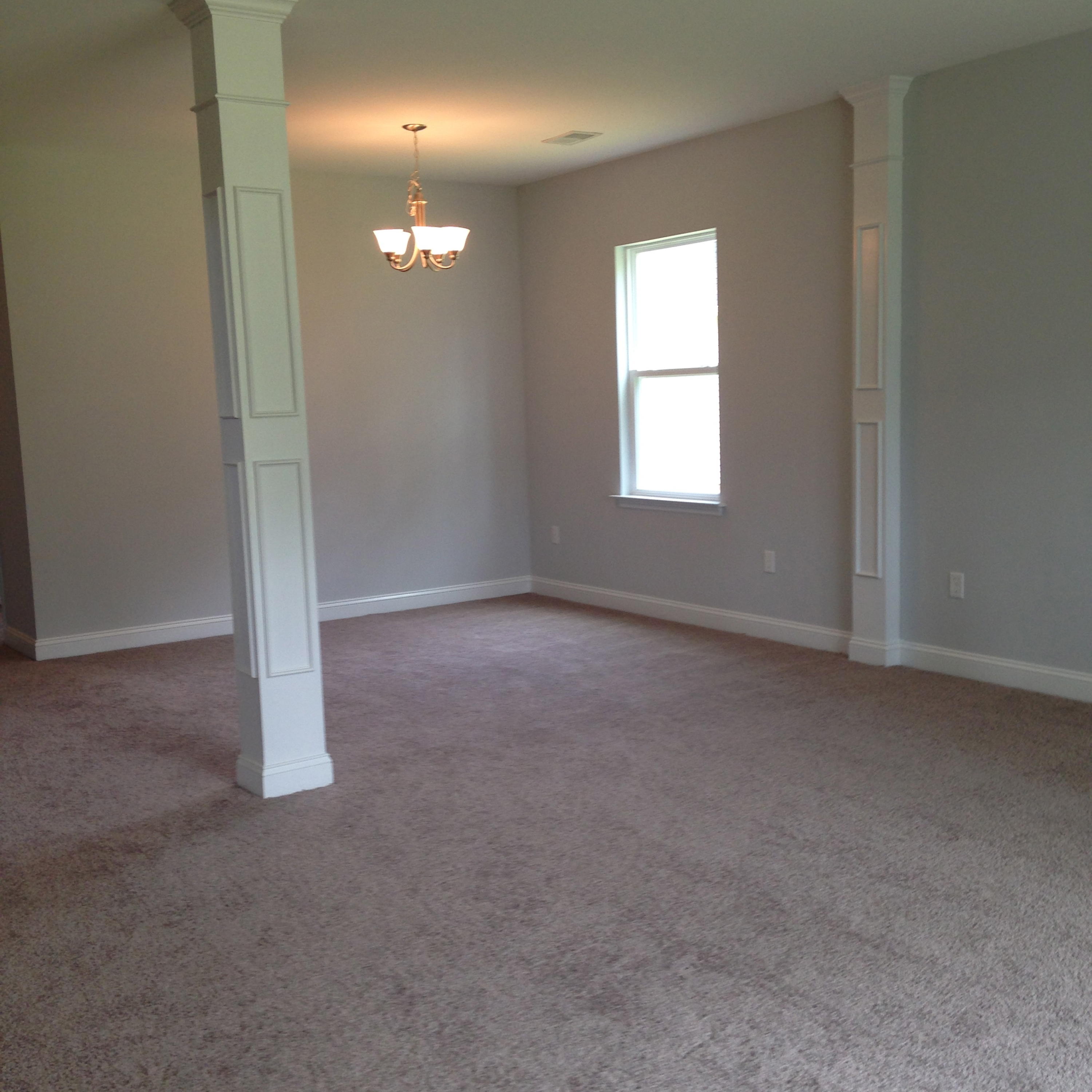 229 Alpine Road Summerville, SC 29485 - Photo 9 of 23 IMG_5779