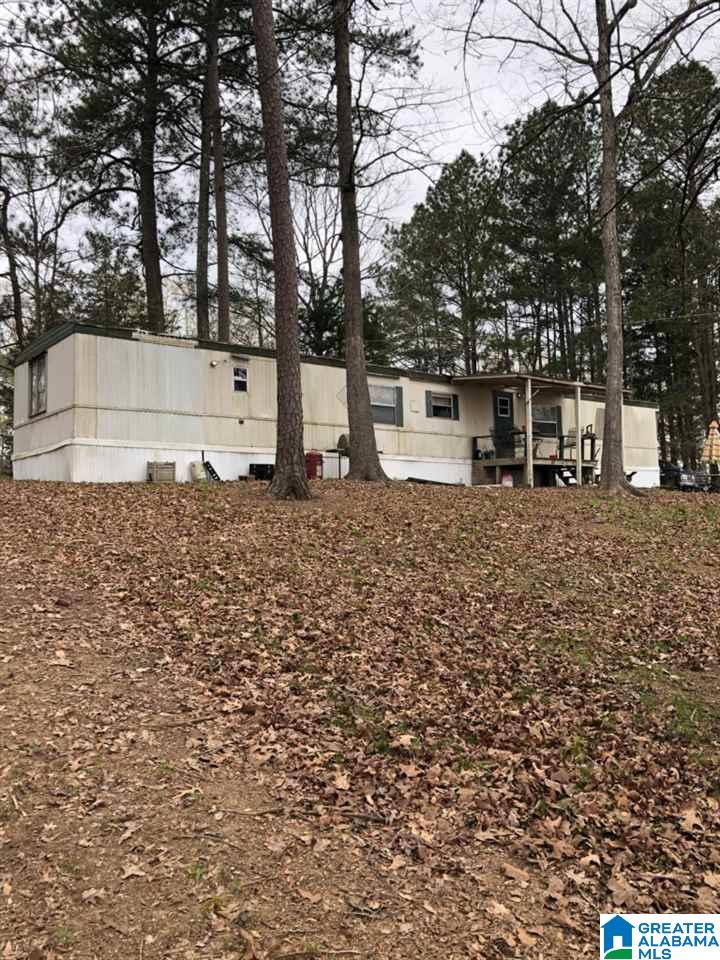 3982 River Ranch Road Ragland, AL 35131 - Photo 3 of 14