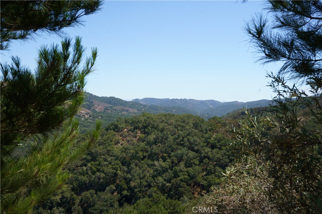 1012 Upper Los Berros Road Nipomo, CA 93444 - Photo 35 of 75 a view of a city with a mountain in the background