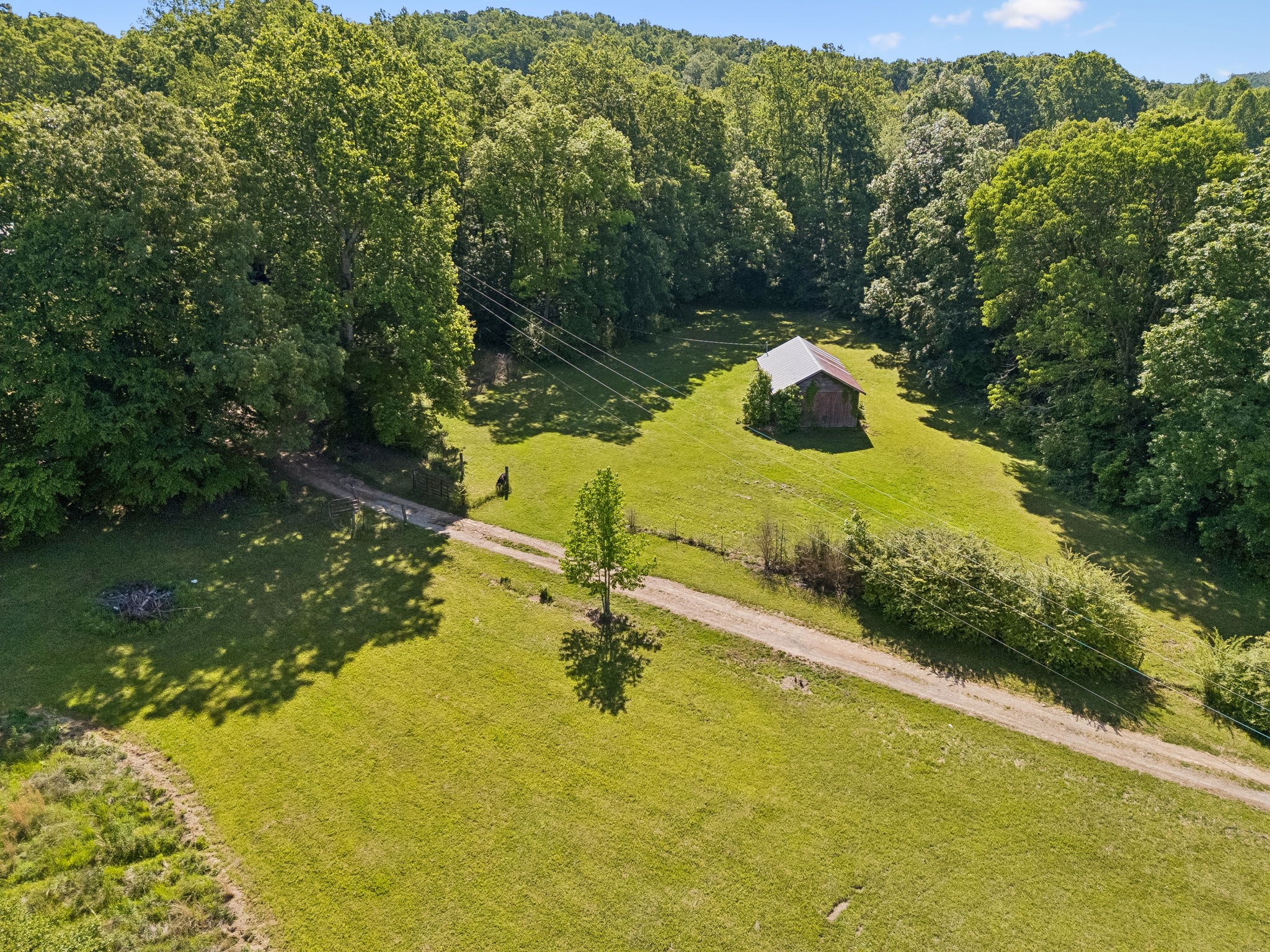 619 Longbranch Road Hohenwald, TN 38462 - Photo 58 of 82 Gallery Image 58