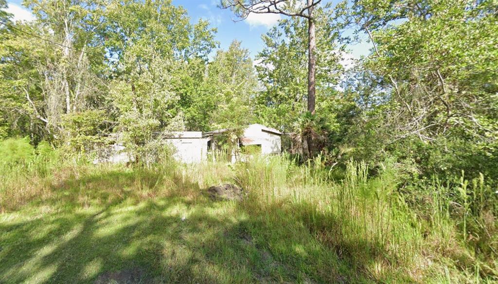9531 Ellis Street New Port Richey, FL 34654 - Photo 1 of 1 a view of yard with green space