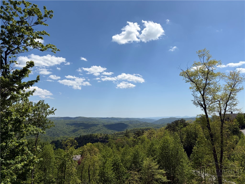 369 Ninebark Road Boone, NC 28607 - Photo 6 of 50 Gallery Image 6