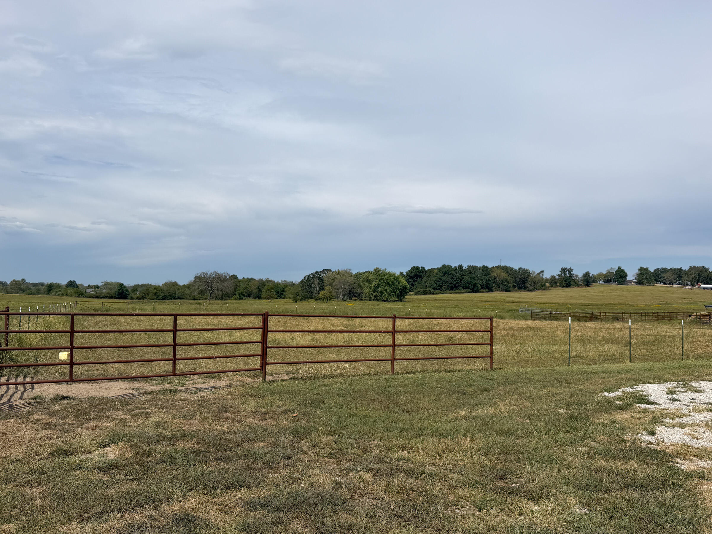 1869 Wall Road Mountain Grove, MO 65711 - Photo 60 of 63 IMG_9084