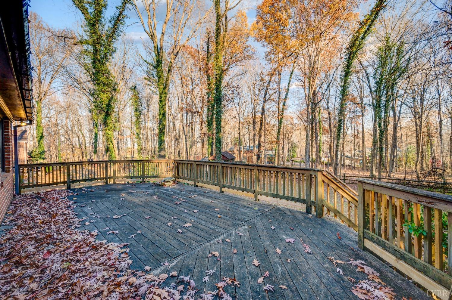 702 Ramblewood Road Forest, VA 24551 - Photo 60 of 61 Gallery Image 60