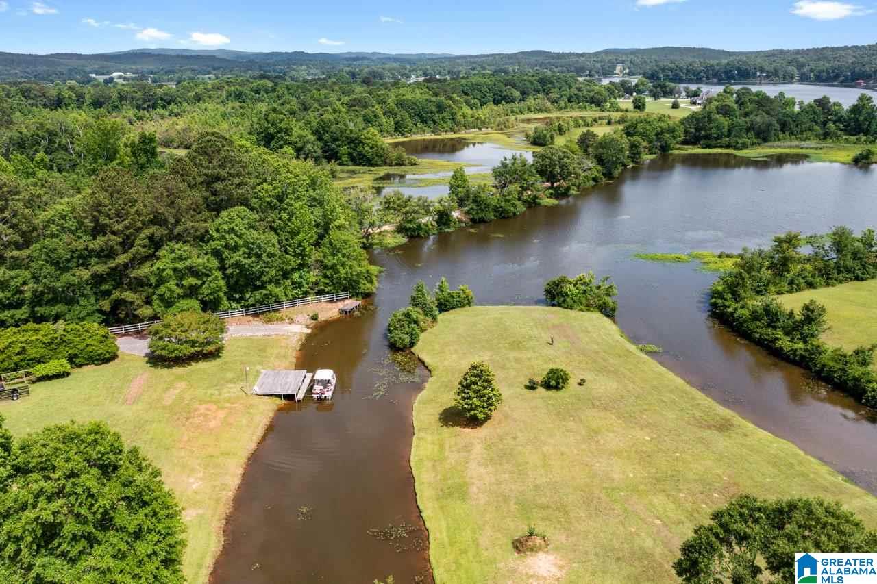 249 Carleton Point Drive Wilsonville, AL 35186 - Photo 37 of 40