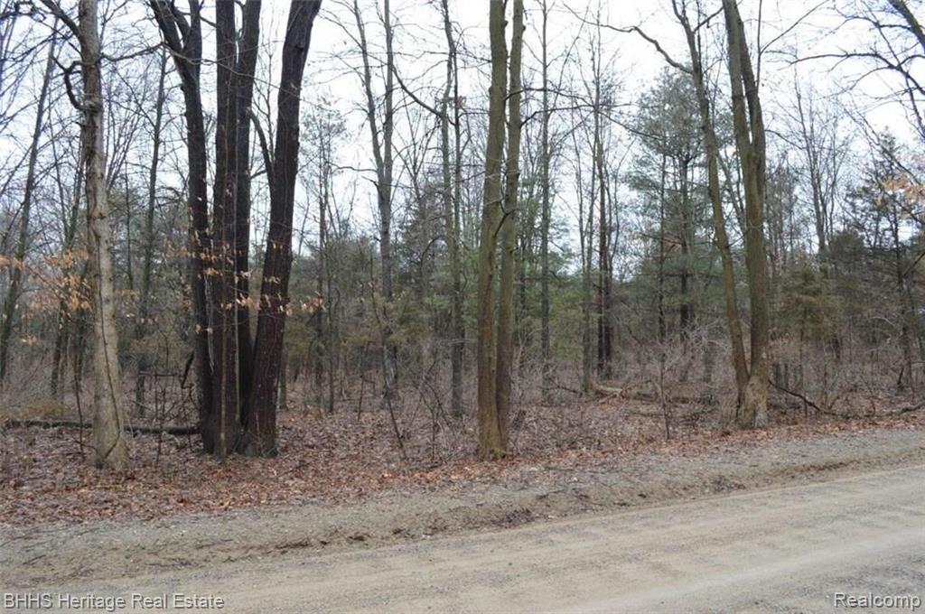 Lot Chambers Road Pinckney, MI 48169 - Photo 2 of 12