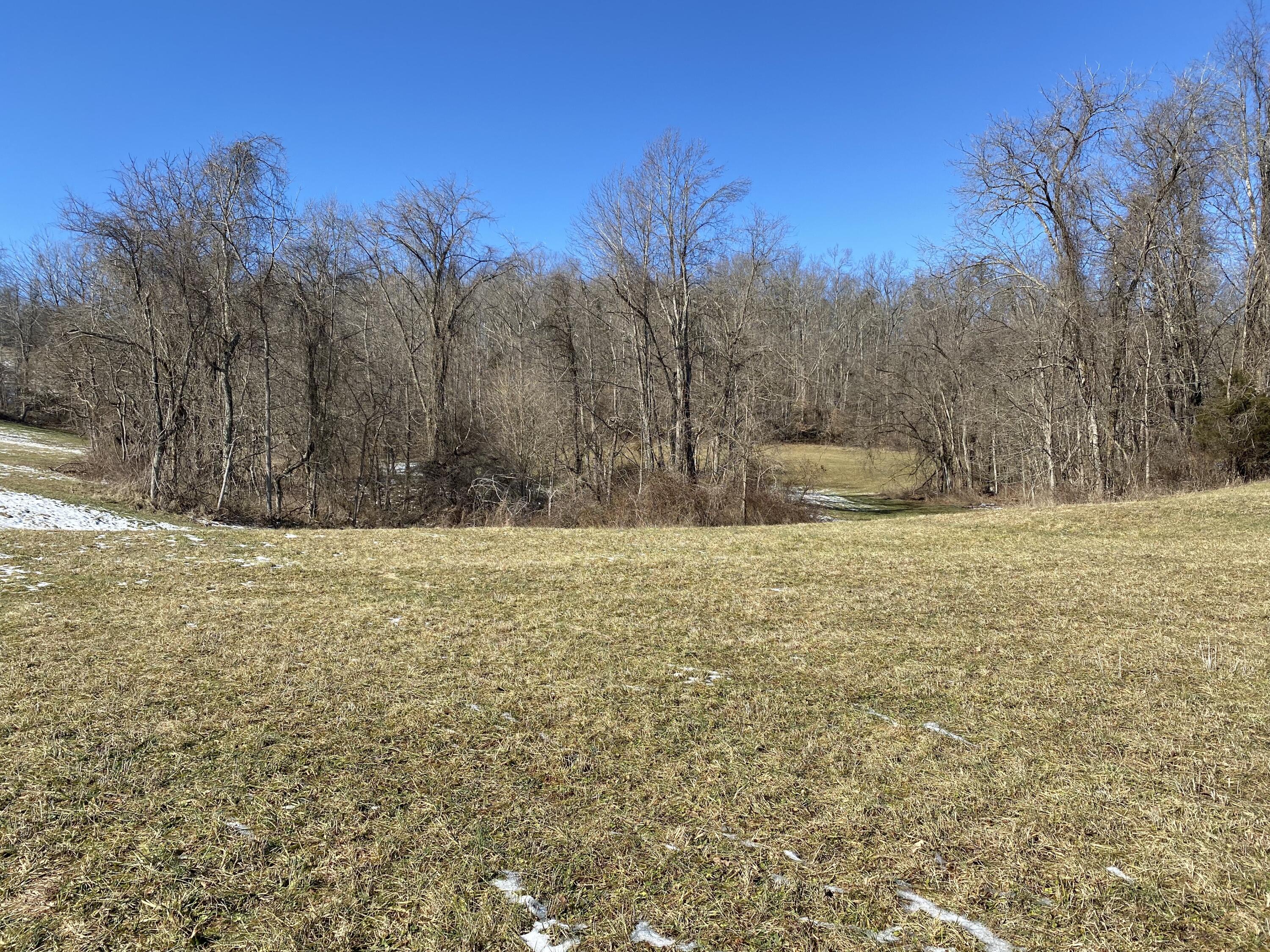 999 Robinson Road McKee, KY 40447 - Photo 5 of 8 IMG_9924