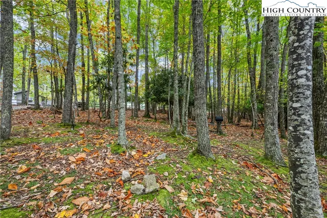 $575,000 | 713 Pine Ridge Road, Beech Mountain, NC 28604