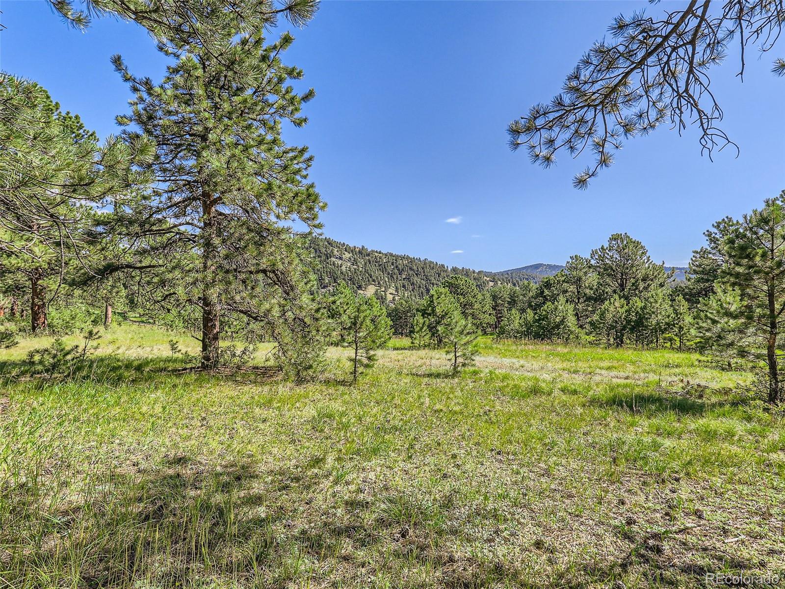2117 Wieler Road Evergreen, CO 80439 - Photo 16 of 40 Gallery Image 16
