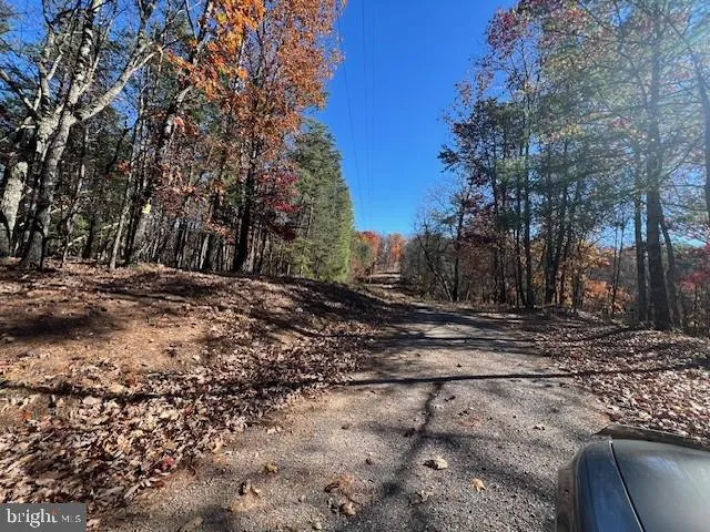 a view of a yard with a tree