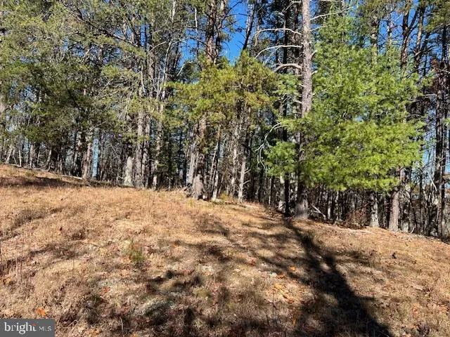 a view of outdoor space yard and trees