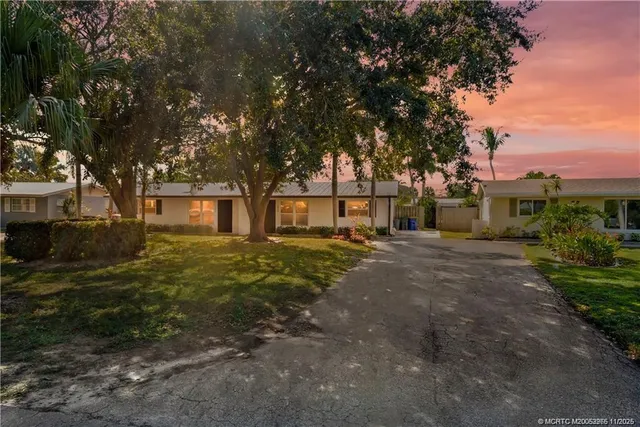 a view of a yard with plants and trees