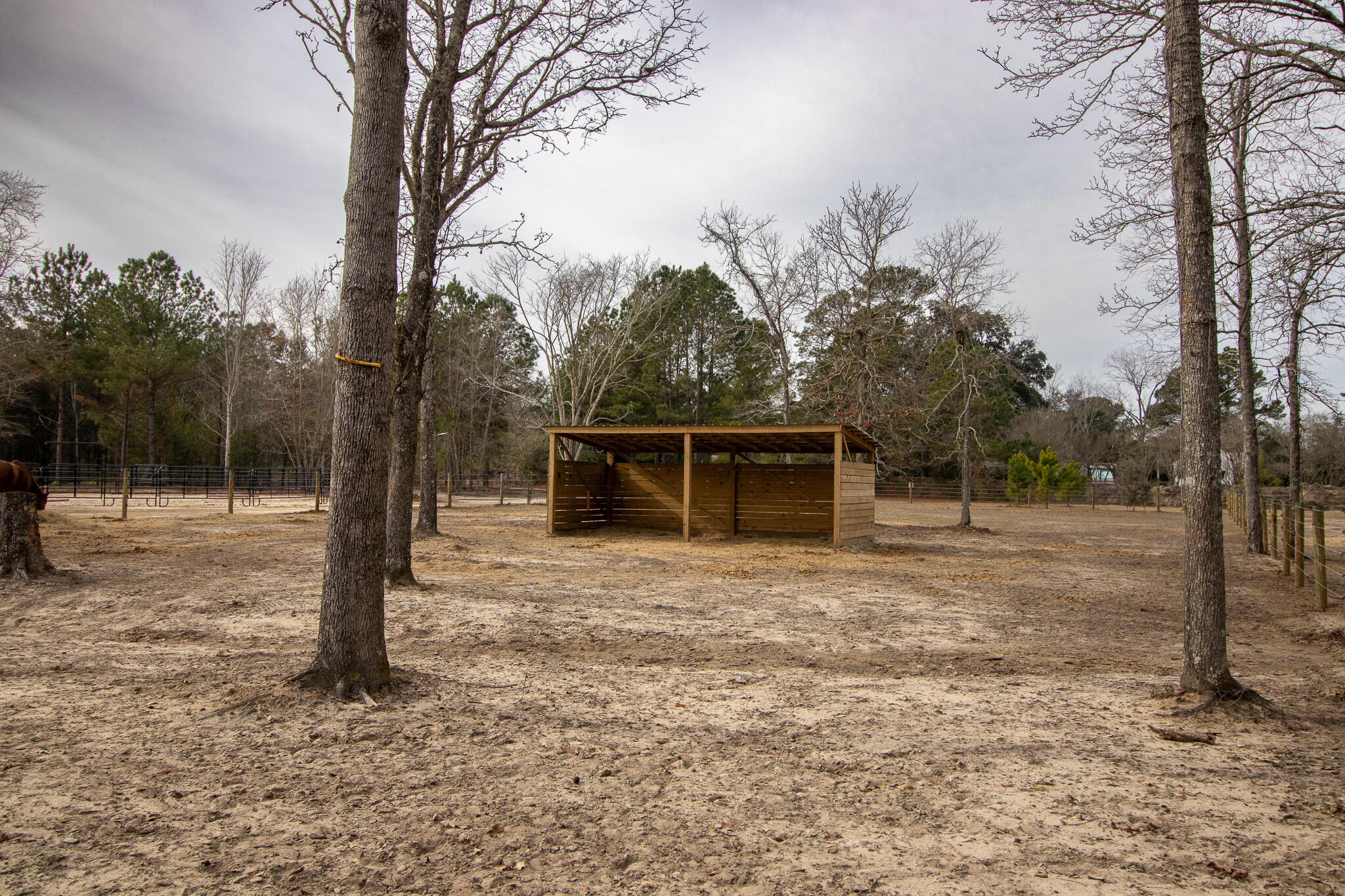 142 Hopewell Road North, SC 29112 - Photo 29 of 112