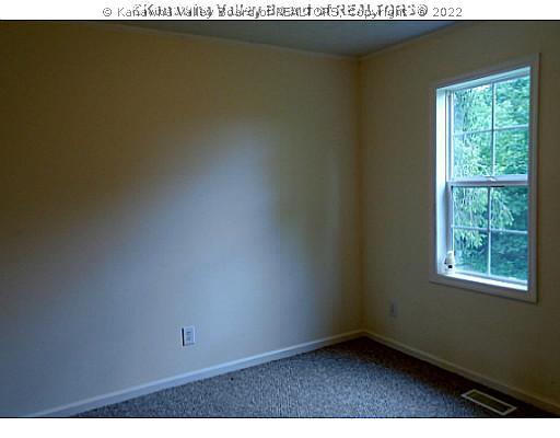 110 Old Stone Ridge Road Ripley, WV 25271 - Photo 10 of 12 Main Level Bedroom.