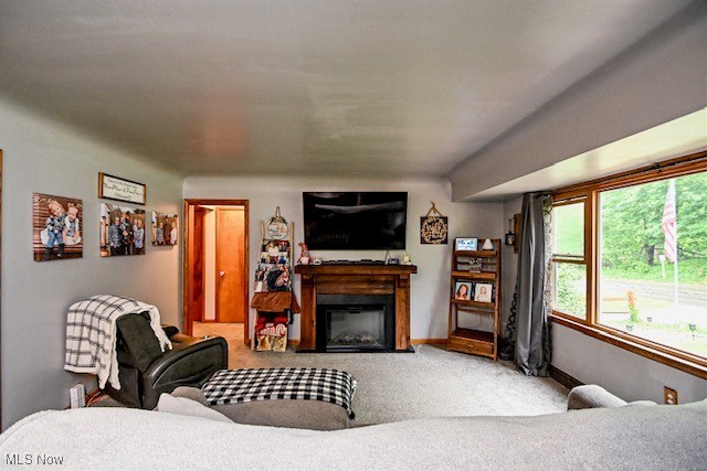 3364 Cormany Road Akron, OH 44319 - Photo 28 of 44 Carpeted living area featuring a fireplace and baseboards