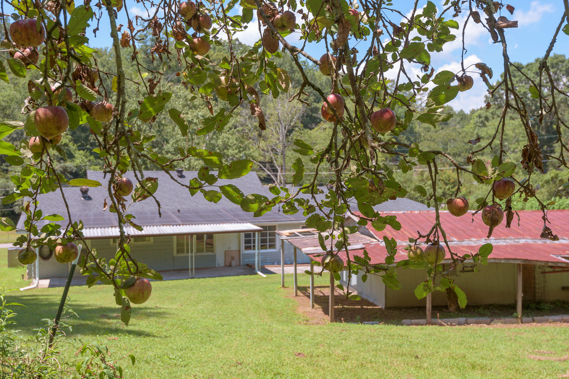 7624 Harper Road Hixson, TN 37343 - Photo 27 of 31 Rear View