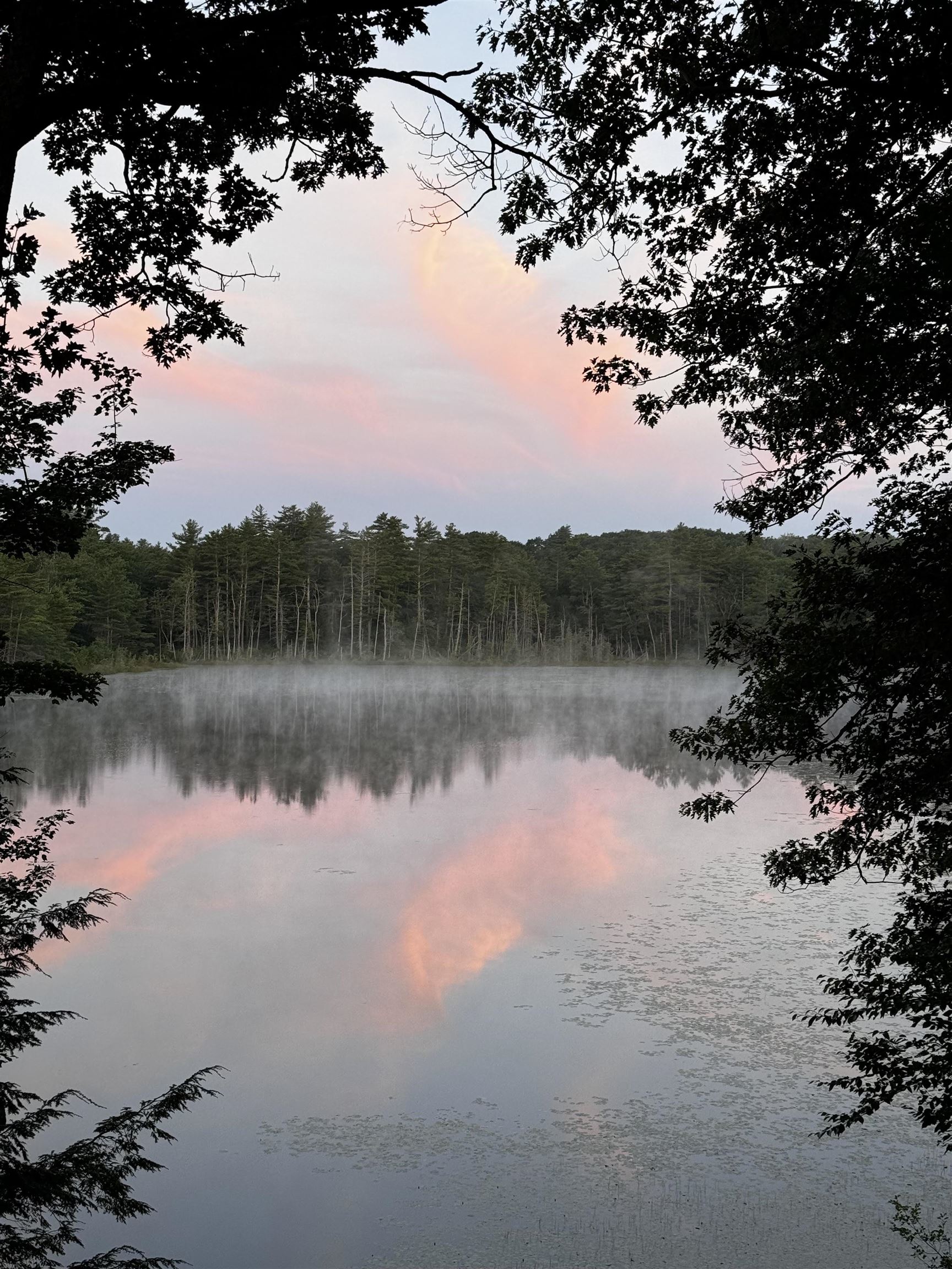 90 Collins Pond Road Fitzwilliam, NH 03447 - Photo 29 of 31 Gallery Image 29