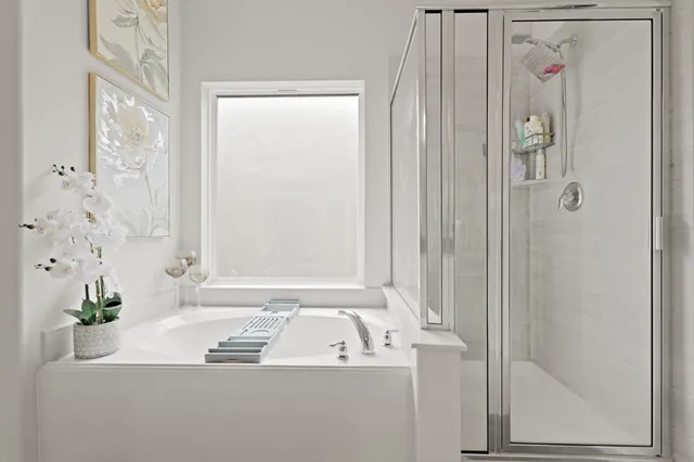 a bathroom with a bathtub and a shower