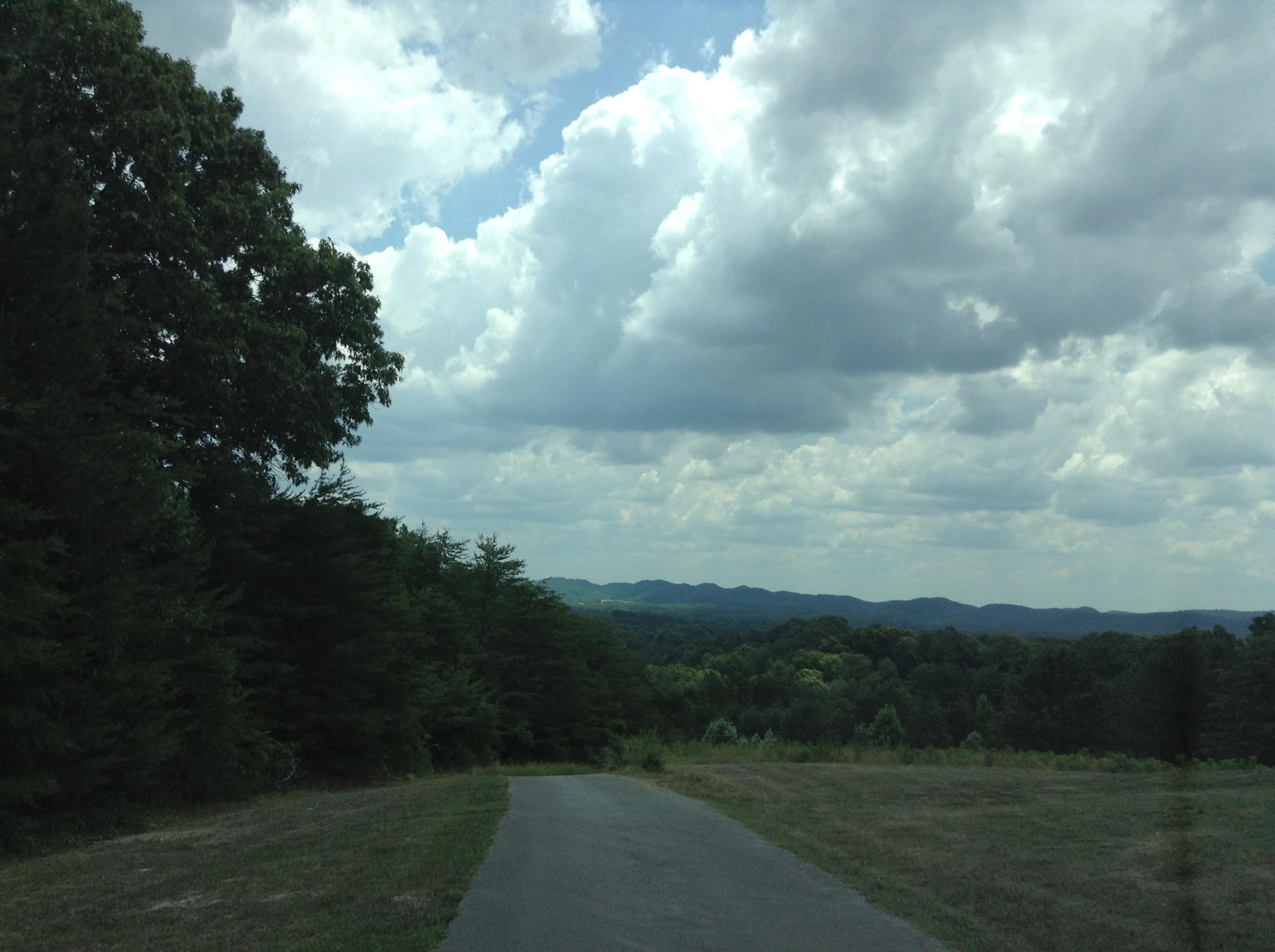 3264 Boss Road Chickamauga, GA 30707 - Photo 22 of 39 View from driveway