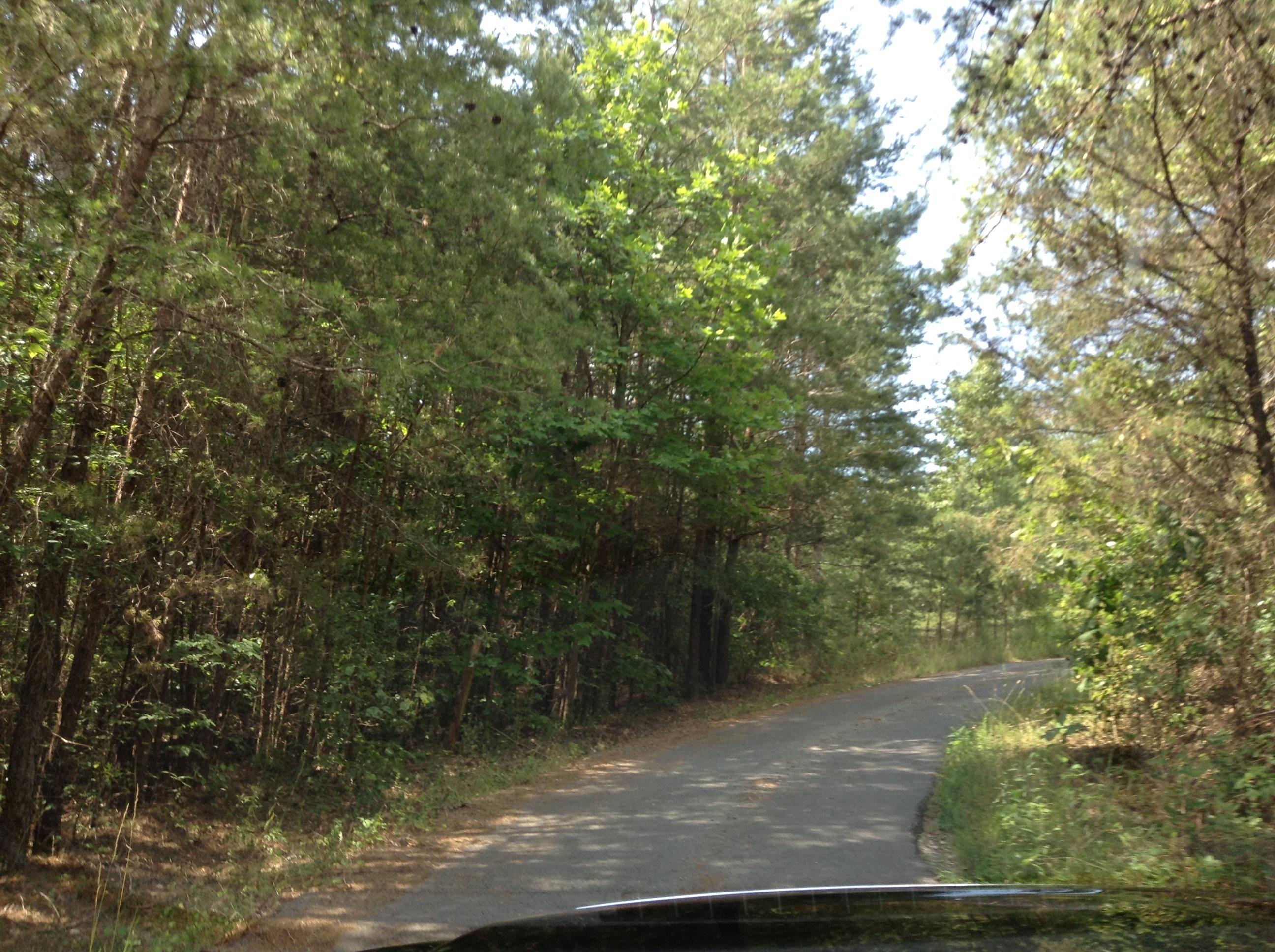 3264 Boss Road Chickamauga, GA 30707 - Photo 24 of 39 Entry