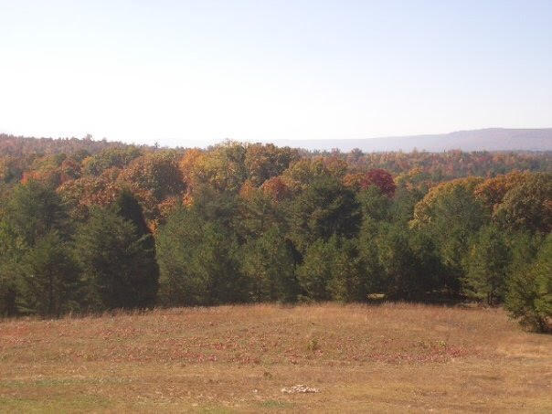 3264 Boss Road Chickamauga, GA 30707 - Photo 38 of 39 2