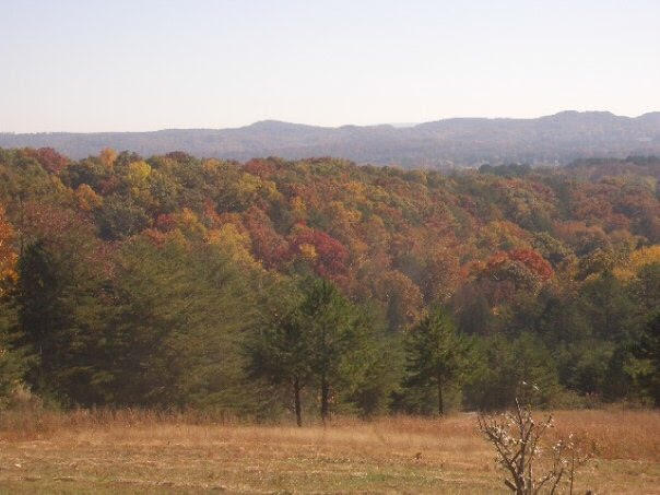 3264 Boss Road Chickamauga, GA 30707 - Photo 39 of 39 3