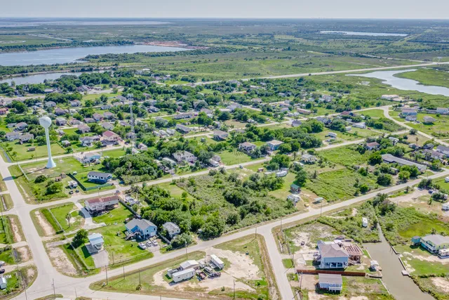 a view of a garden with plants