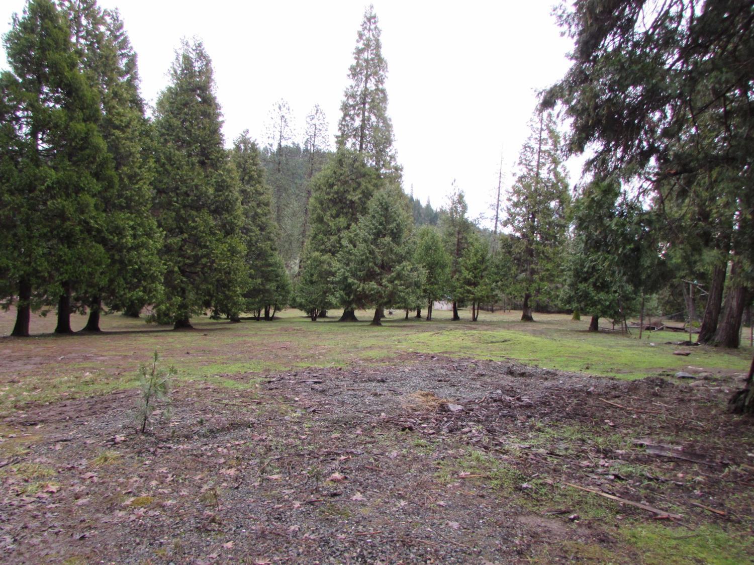 4455 Pleasant Creek Road Rogue River, OR 97537 - Photo 8 of 30 Additional Photo
