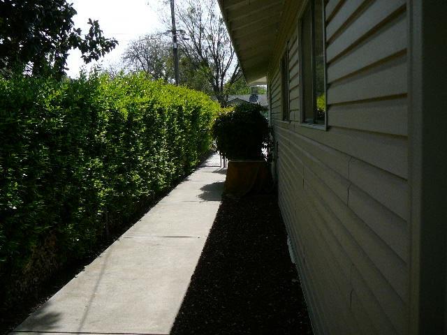 3441 Bardick Road Anderson, CA 96007 - Photo 23 of 28 P1050291