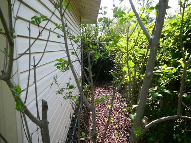 3441 Bardick Road Anderson, CA 96007 - Photo 24 of 28 P1050293