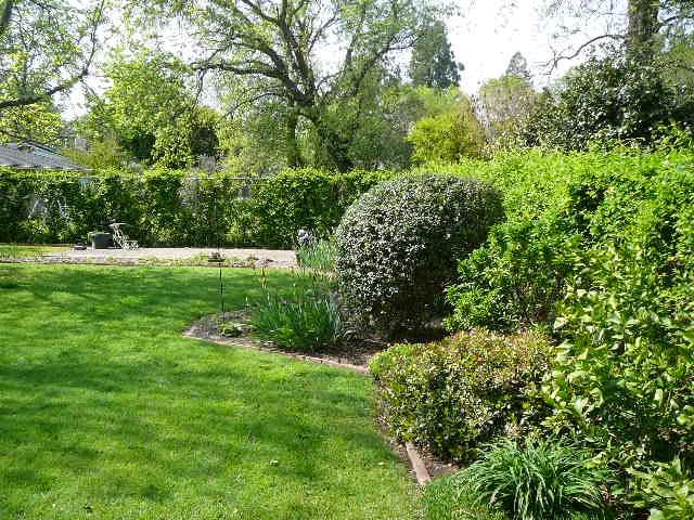 3441 Bardick Road Anderson, CA 96007 - Photo 10 of 28 P1050298