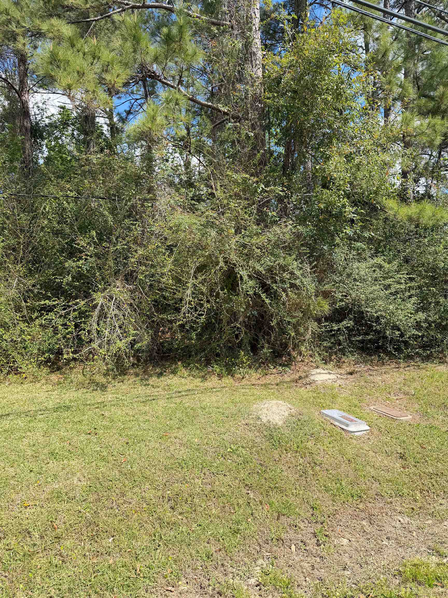 0 Horn Road Lumberton, TX 77657 - Photo 1 of 1 Gallery Image 1