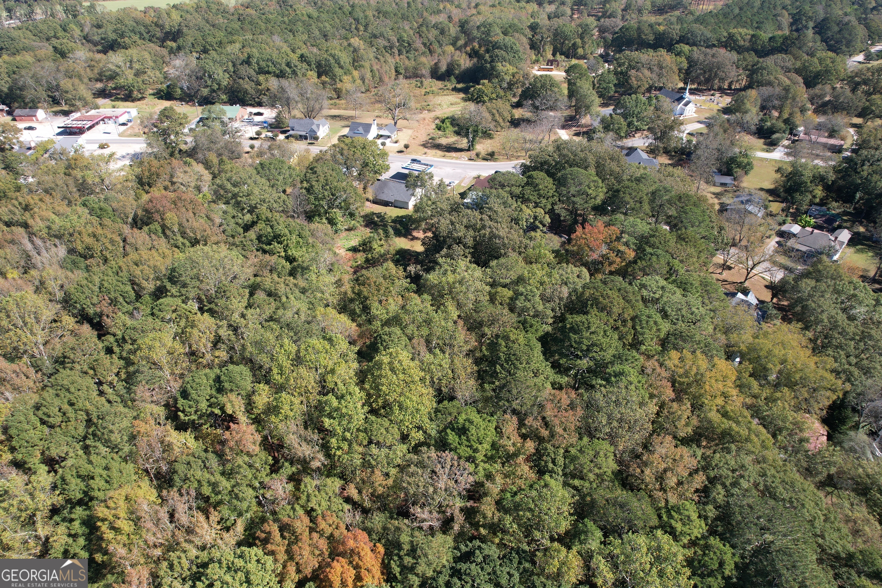 1 Lower Jersey Road Covington, GA 30014 - Photo 2 of 7 an aerial view of a houses with a yard and lake