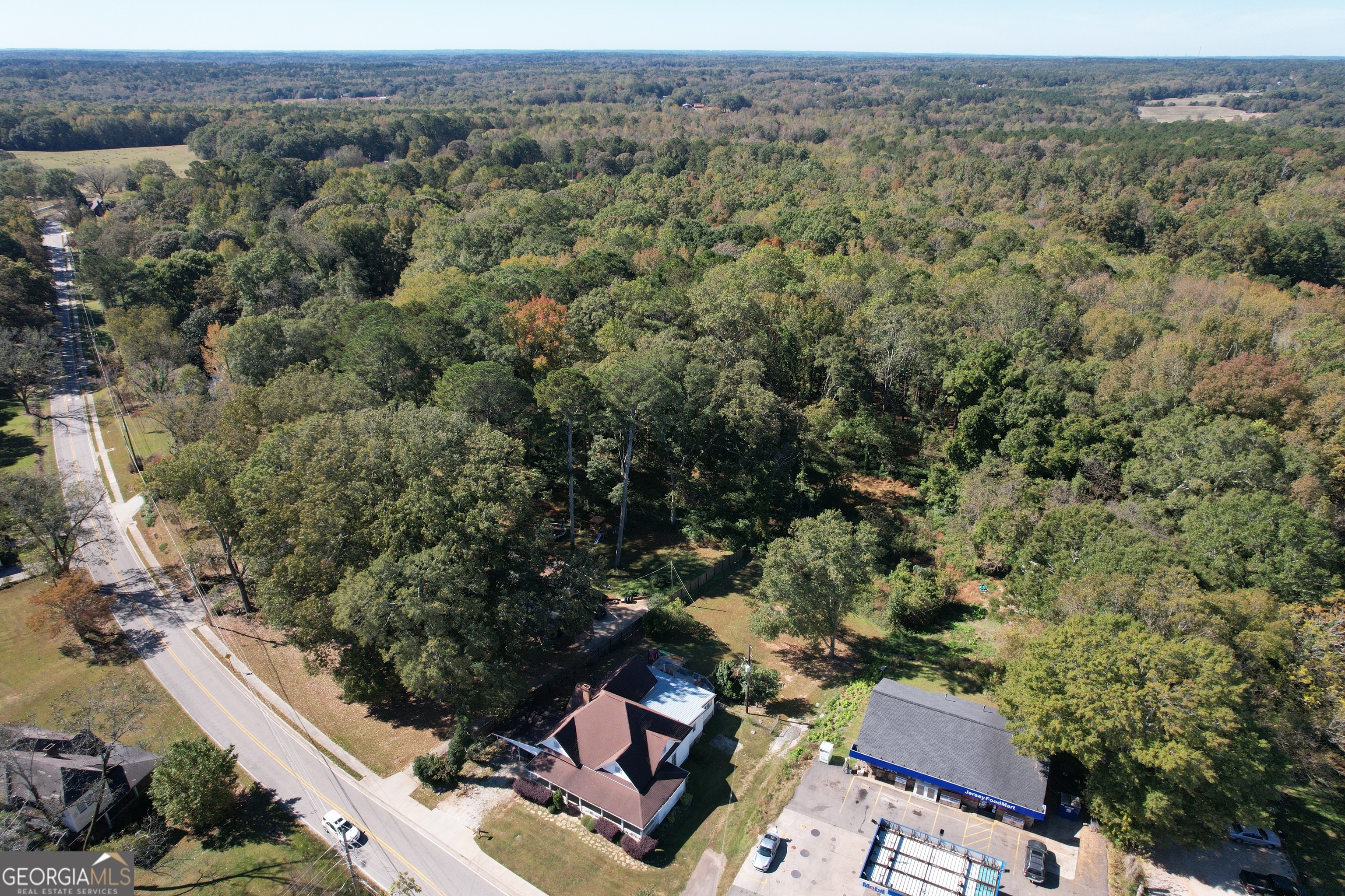 1 Lower Jersey Road Covington, GA 30014 - Photo 4 of 7 an aerial view of a house with a yard