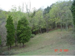 0 Arnott Road Bulls Gap, TN 37711 - Photo 3 of 5 Photo 3