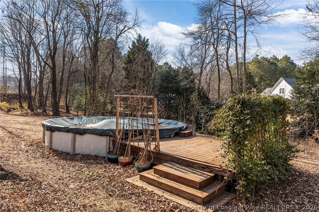 441 Lasater Road Bunnlevel, NC 28323 - Photo 43 of 50 Pool