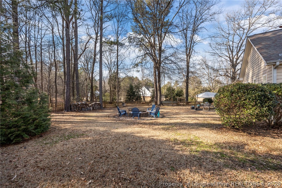441 Lasater Road Bunnlevel, NC 28323 - Photo 49 of 50 Back Yard