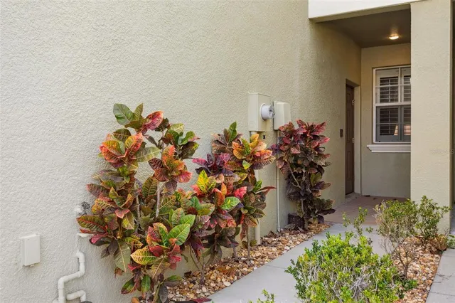 $2,400 | 9568 Trumpet Vine Loop, Trinity, FL 34655