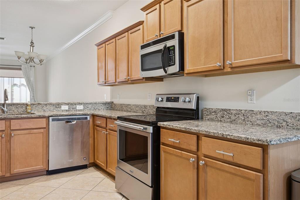 9568 Trumpet Vine Loop Trinity, FL 34655 - Photo 6 of 25 a kitchen with stainless steel appliances granite countertop a sink stove and microwave