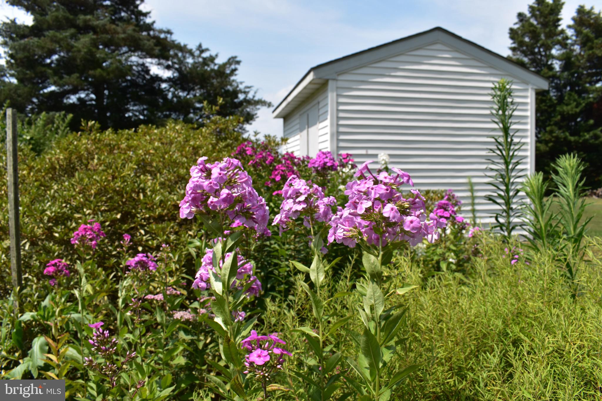 10324 Cathell Road Berlin, MD 21811 - Photo 6 of 42 Outbuilding with a view of some of the landscaping