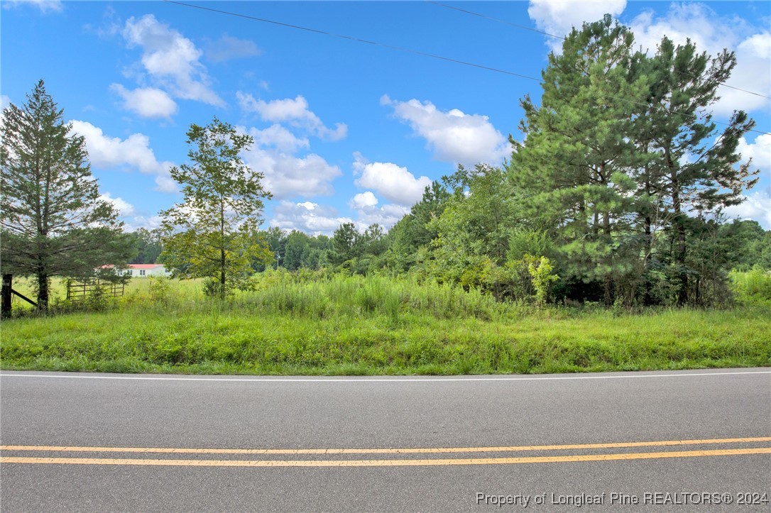 2885 Slocomb Road Linden, NC 28356 - Photo 11 of 19 Gallery Image 11