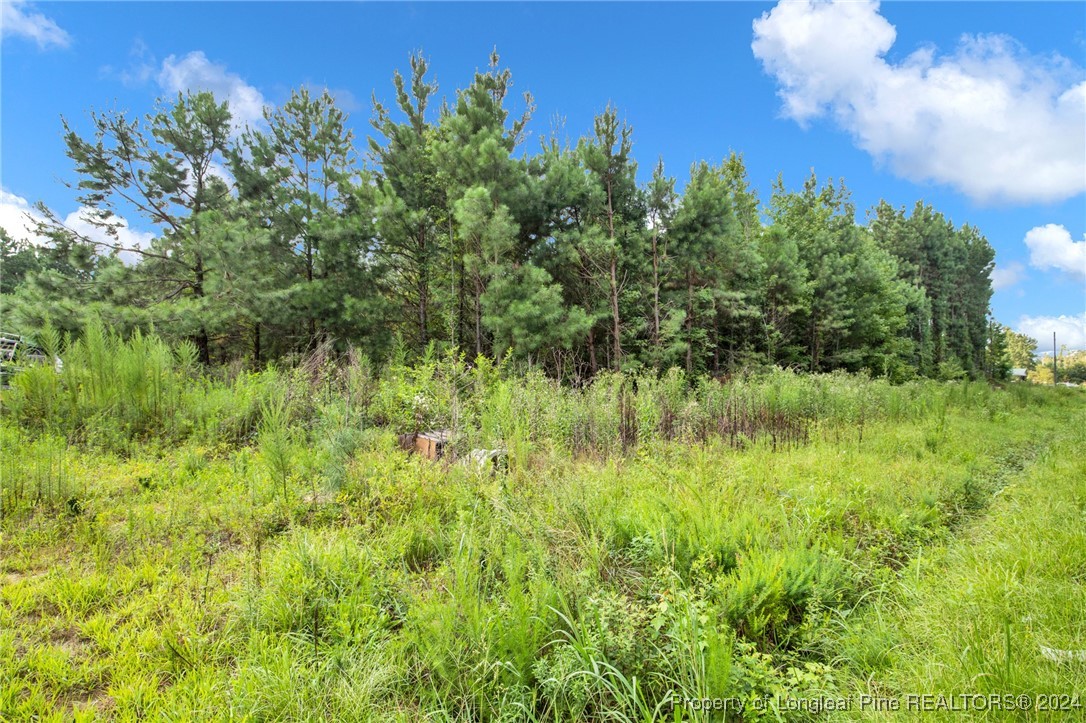 2885 Slocomb Road Linden, NC 28356 - Photo 17 of 19 Gallery Image 17