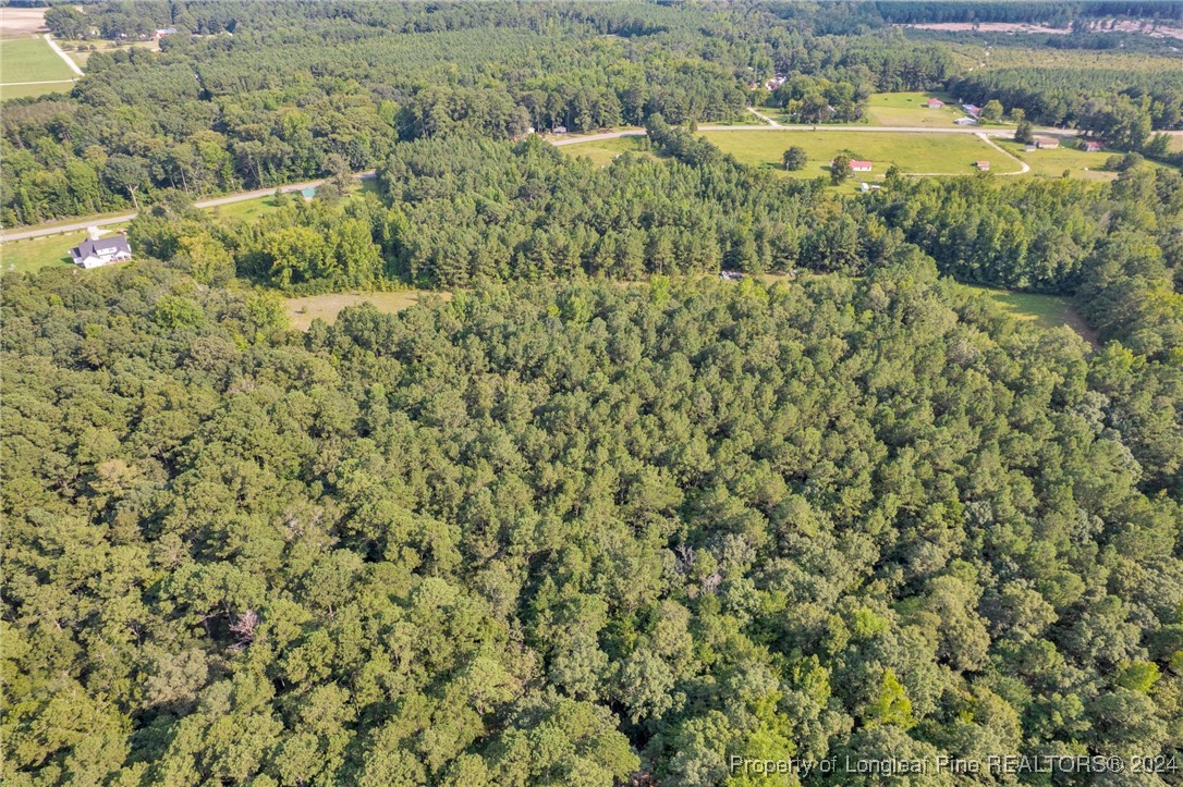2885 Slocomb Road Linden, NC 28356 - Photo 6 of 19 Gallery Image 6